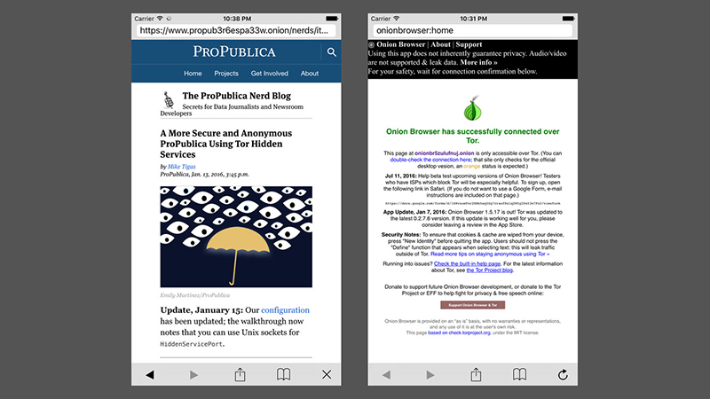 Image: Onion Browser